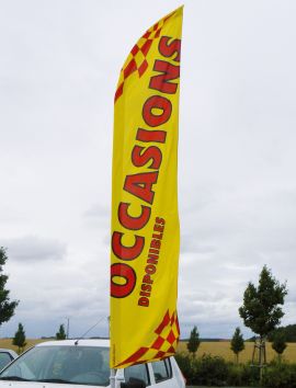 Drapeau de vitre occasion automobile