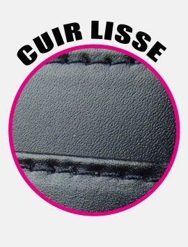 Fourreau carte grise cuir "Princeton"
