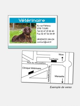 Carte commerciale Vétérinaire  120 x 80 mm