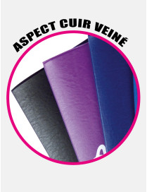 Porte-carte grise Club